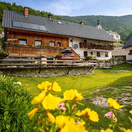 Apartments Kocjanc Bohinj Buitenkant foto