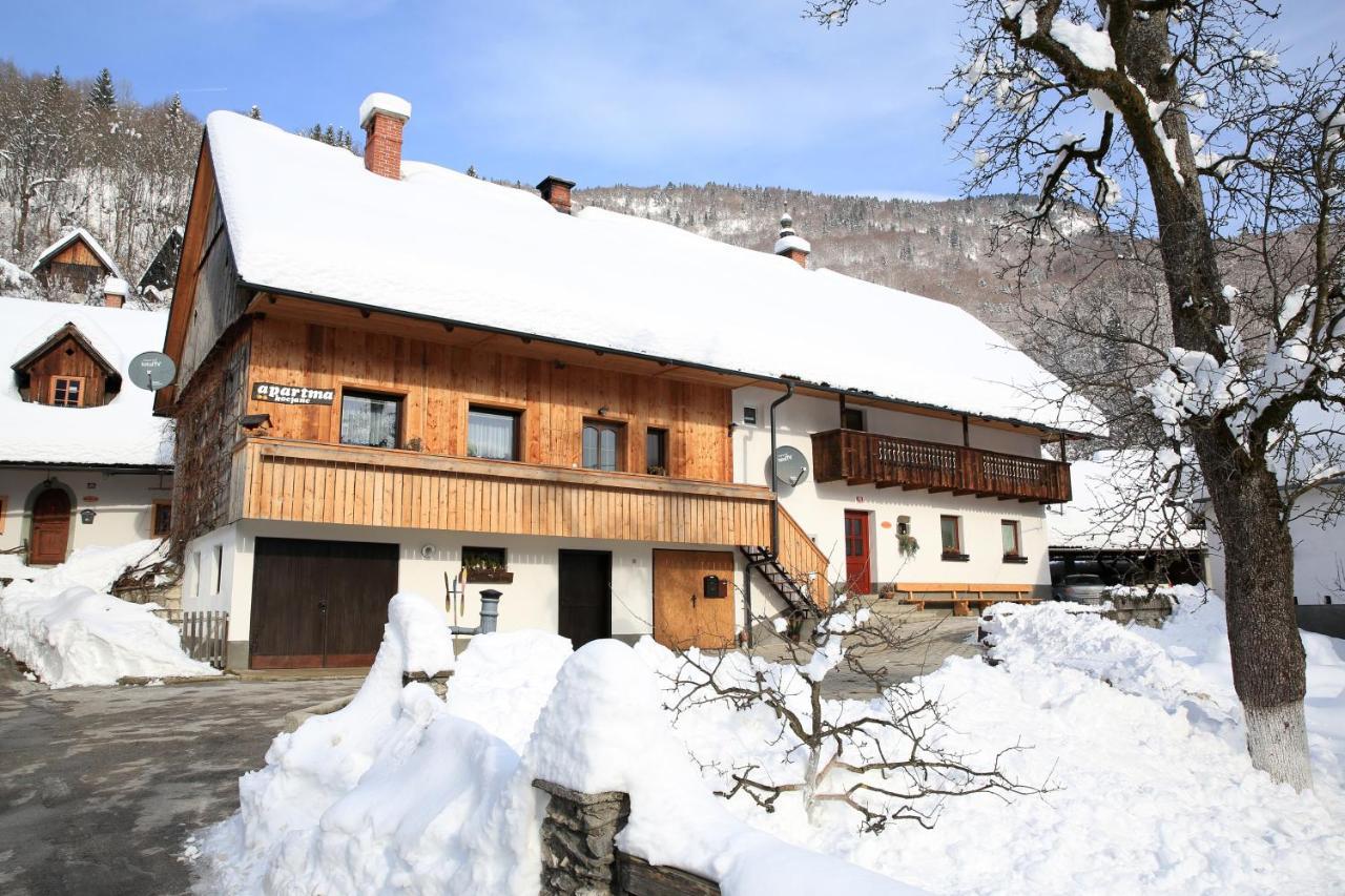 Apartments Kocjanc Bohinj Buitenkant foto