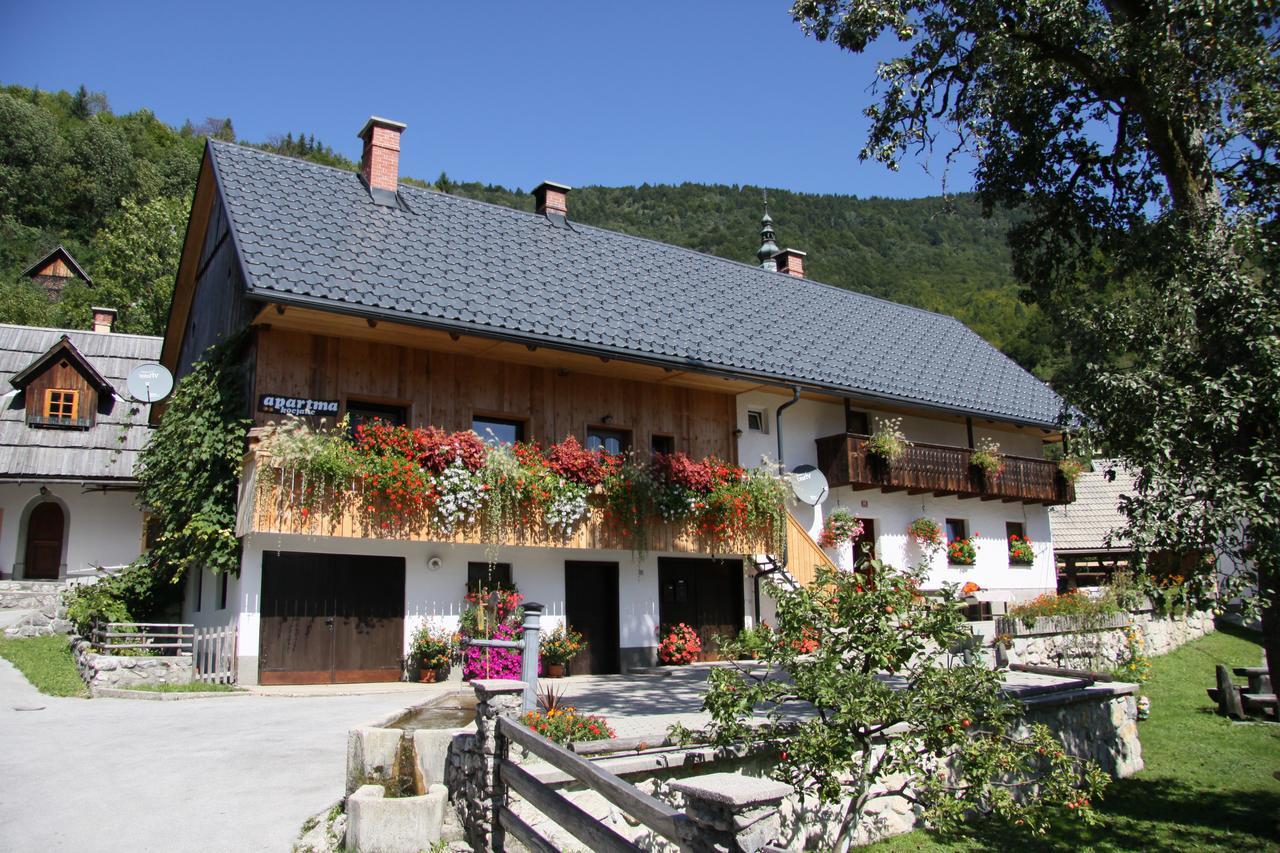 Apartments Kocjanc Bohinj Buitenkant foto