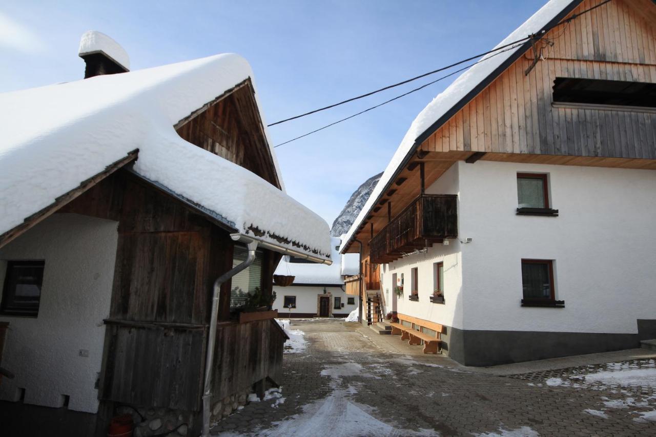 Apartments Kocjanc Bohinj Buitenkant foto